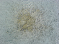 i think it's pee