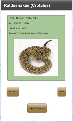 Venomous Snakes of Texas