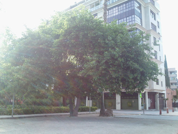 Spotting Image 1