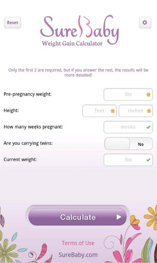 Pregnancy Weight Calculator