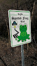Spotted Frog Trail
