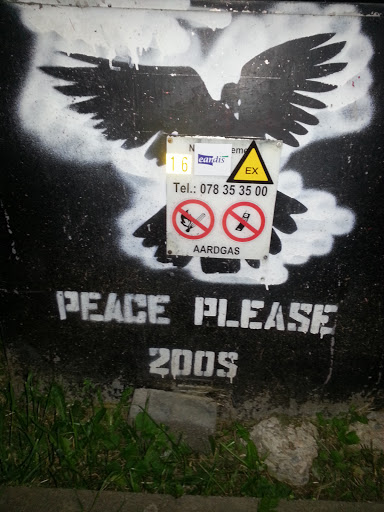 Peace 2005
