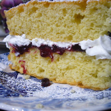 Master of Disguise Sponge Cake