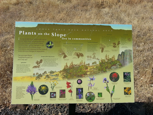 Plants on the Slope live in Communities