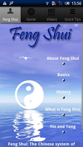 Feng Shui - The Beginners Guid