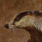 lukestone
