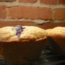 Sweet Blueberry Corn Muffins