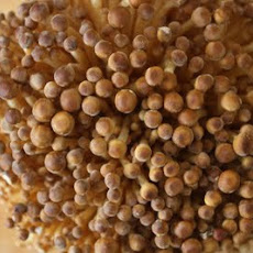 Quinoa With Wild Mushrooms, Black-eyed Peas And Dandies