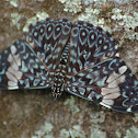 Red Cracker