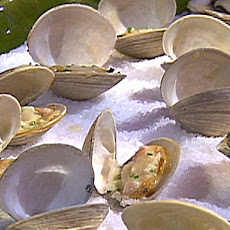 Grilled Oysters with Lemon Butter