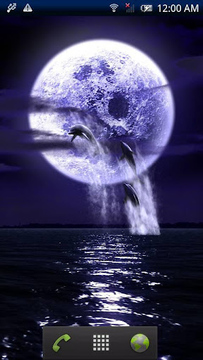 Dolphin★Fullmoon