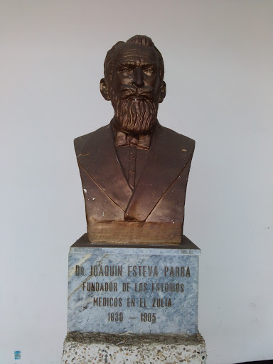 Dr Joaquin Esteva Parra