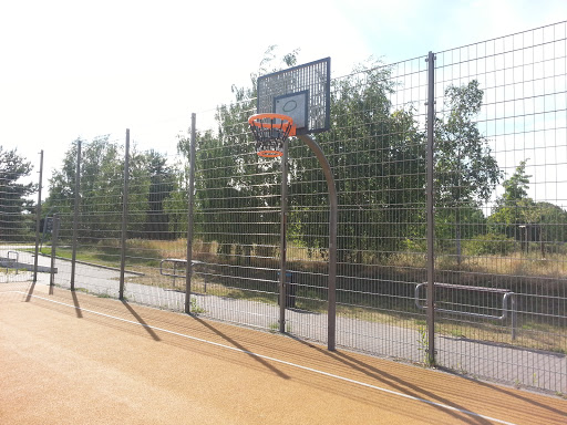 Basketball Im Landschaftspark