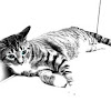 Cat with Teal Eyes