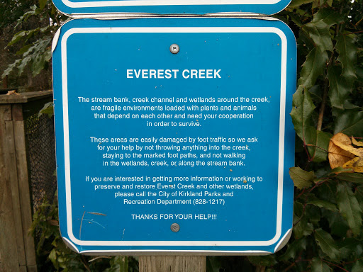Everest Creek