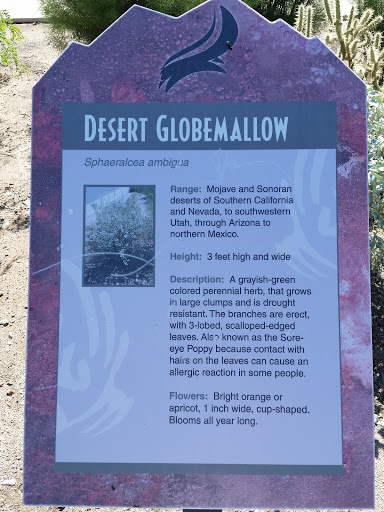 Desert Globemallow Sign