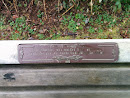 Memorial Bench - For Sharon