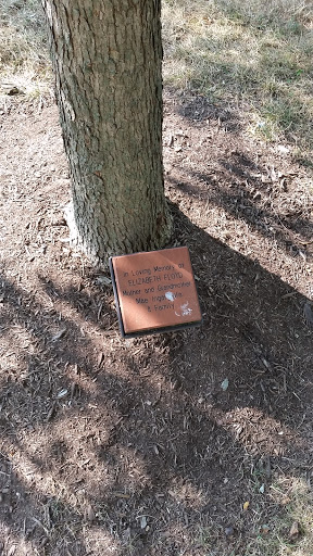 Elisabeth Floyd Memorial Tree