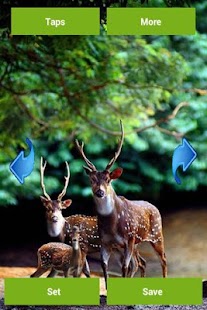 How to download Wild Animals Wallpapers lastet apk for android