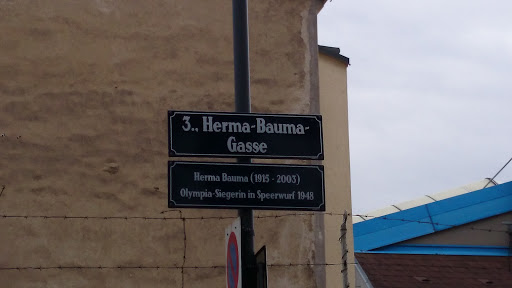 Herma Bauma