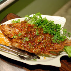 Thai Tilapia