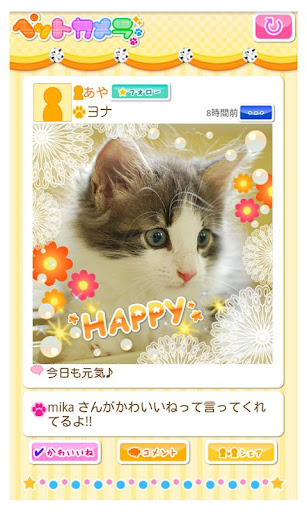 【免費攝影App】Petcamera 讓您家寵物的照片更加可愛生動-APP點子