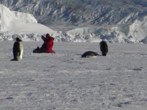 [Jessicawithpenguins3.jpg]