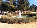 Fountain at Davis Memorial Park 