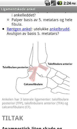 Skadehåndboka