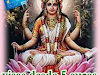Ofertas Tarot Visas Economico 931 000 995 5 €