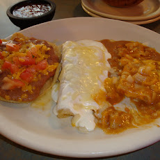 Sour Cream Chicken Enchiladas