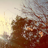 080322-23?????? &ndash; 