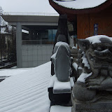 20080113?????-??? &ndash; ????
