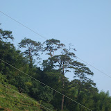 070728-29??????+?? &ndash; 5??