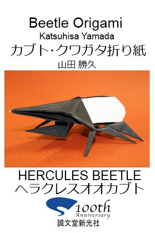 Beetle Origami 3