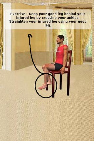 Posterior Cruciate Ligament