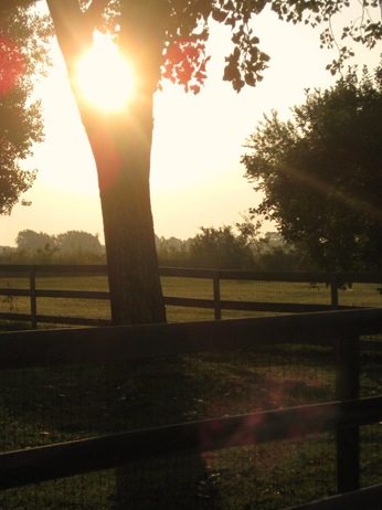[Morning light 007[3].jpg]