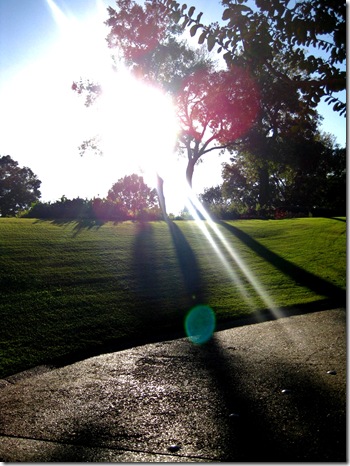 Golf 037