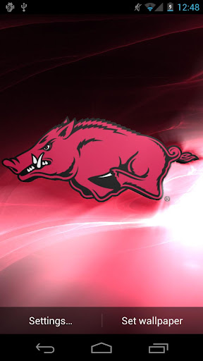 Arkansas Razorbacks LWP Tone