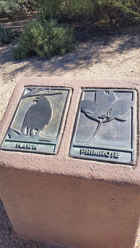 Hawk & Primrose Desert Wilderness Markers