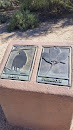 Hawk & Primrose Desert Wilderness Markers