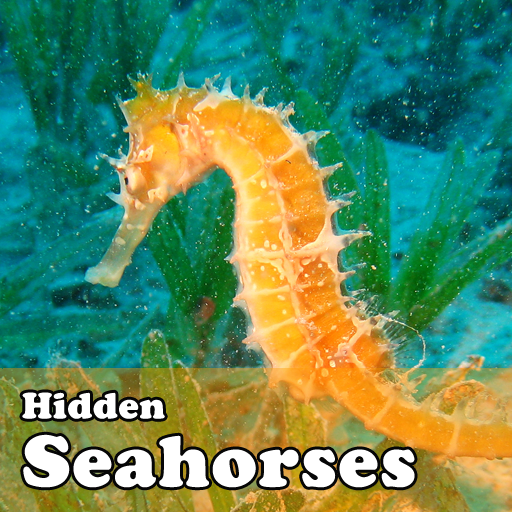 Hidden Object Games-Seahorses LOGO-APP點子