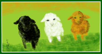 Three Little Lambs