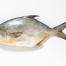 Roasted Pompano with Blood Orange Avacado Salsa, Cilantro Butter & Spicy Plantains