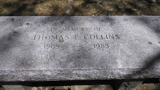 Thomas E. Collins Memorial Bench