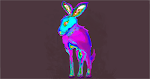 Coloured Murple Hare