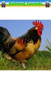 How to mod Animal Sounds 2.0 mod apk for bluestacks