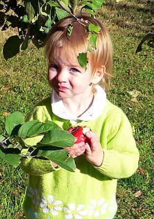 [kb 2006 orchard[3].jpg]