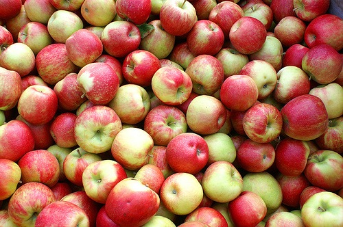 [box of apples[3].jpg]