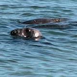 Cape Cod Oct 2007